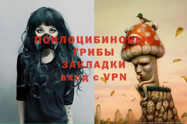 кокаин Инсар
